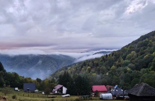 Dragoslavele Ski Chalet | Charpatian Log Cabin Dragoslavele