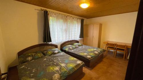 Cerveny Kostelec Ski Chalet | Chata Brodský E1062