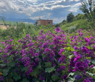 Nova Lubovna Ski Chalet | Chata Dorotka na sosne