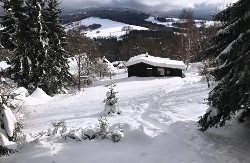 Destne Cabin | Chata Na Dříši