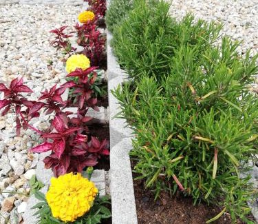 Velka Lomnica House | Chata Tatry Resort