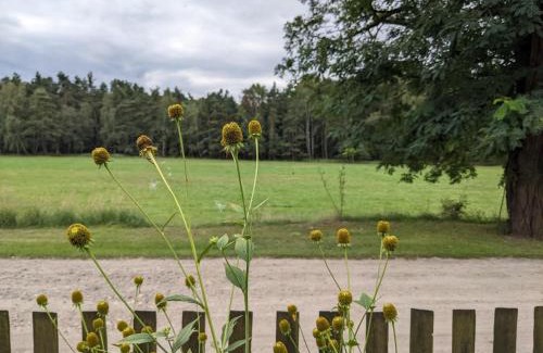 Murow House | Chata w lesie