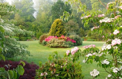 Le Chatellier Bed & Breakfast | Chateau de la Foltière