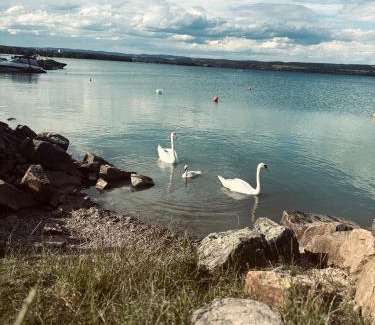 Chvalkovice Ski Chalet | Chatička Lištička