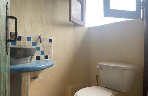 San Francisco Hotel | Chayo Gil a studio with jungle view + kitchen