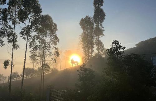 Lindula Hotel | Chaza Oddington