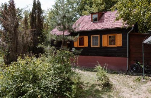 Auseu House | Cheerful Forest Cabin with Hot Tub!