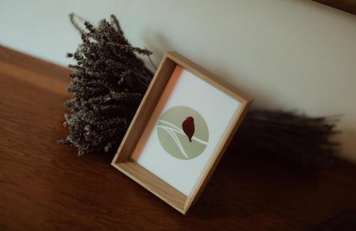 Auseu House | Cheerful Forest Cabin with Hot Tub!