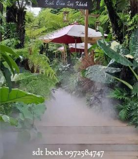 Buon Ma Thuot Bed & Breakfast | Cherry homestay phòng đôi lớn