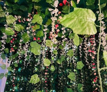 La Madeleine Apartment | Chez Jade - Spa, Gare et centre ville