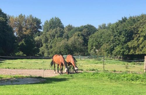 Obaix House | Chez Raoul - Ancienne Grange