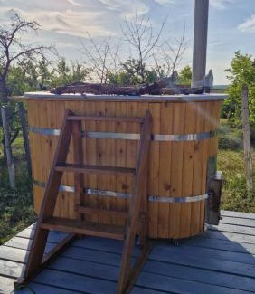 Chisinau Other | ChillZoneVila Danceni