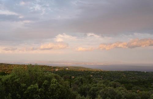 Ionia Apartment | Chios Cozy Apartment 1