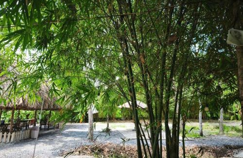 Mang Yang Other | Cho thuê chòi view hồ -Homestay Me Khang 2