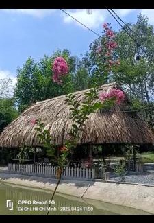 Mang Yang Other | Cho thuê chòi view hồ -Homestay Me Khang 2