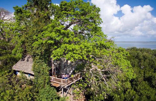 Mafia Island Ski Chalet | Chole Mjini Treehouses Lodge