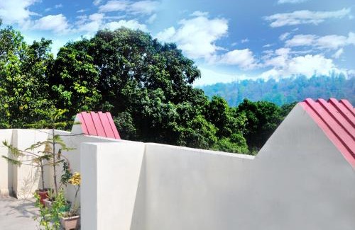 Ramnagar House | Choudhary Mansion