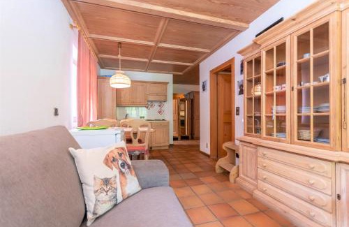 Pie Falcade Apartment | Ciasa Molino 306