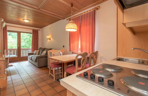 Pie Falcade Apartment | Ciasa Molino 306