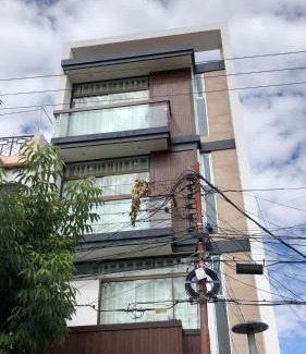 Sucre Apartment | City Center 3-rooms apartment Downtown Sucre