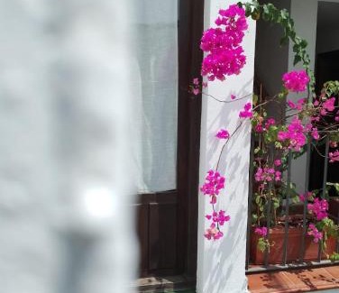 Santiago Apartment | Claustro Home Casco Histórico Córdoba