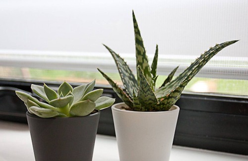 Ann Arbor Apartment | Clean modern studio, 6 min drive to U of M!