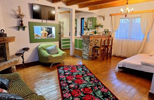 Gura Humorului Cabin | Clematis House