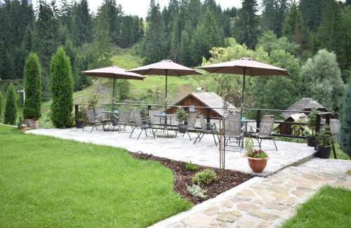 Gura Humorului Cabin | Clematis House