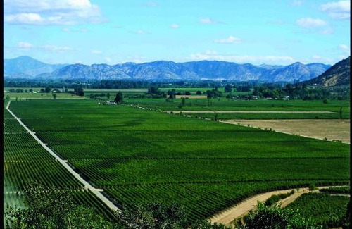 Santa Cruz Hotel | Clos Apalta Residence Relais & Chateaux