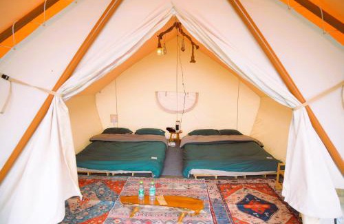 Da Lat Other | Cloud9 & Cloud View Glamping