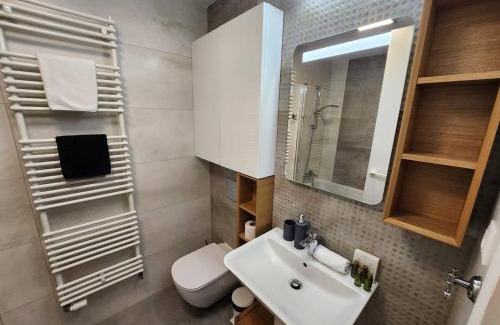 Aviatiei Apartment | Cloud9 Pipera Best Apartments