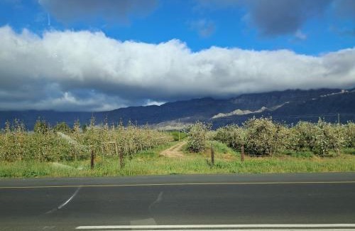 Prince Alfred Hamlet Apartment | Coco 's Hamlet Flatlet