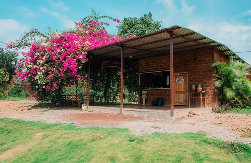 Naranjal Cabin | Cocoa and Mango Farm