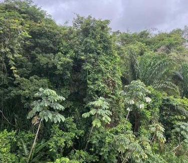 Remire Montjoly Apartment | Cocon calme et reposant