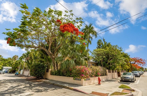 Old Town Condo | COCONUT PALM STUDIO ~ Adult Only Studio, Heated Shared Pool & Close to Town!