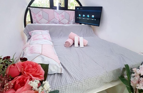 Magallanes Other | Cocoon O-House