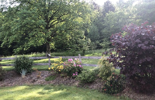 Ramonchamp House | Cocooning spirit" gîte close to hiking trails and cycle path.