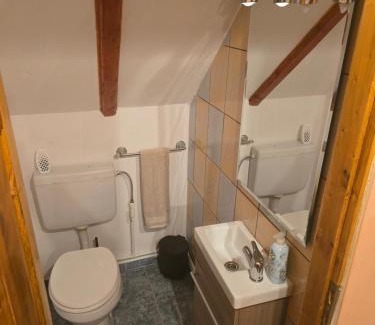 Petrila House | Coliba de la Rapa