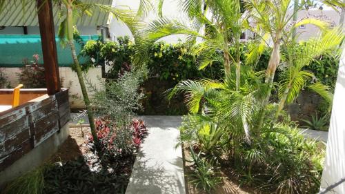 Trou d'Eau Douce Bed & Breakfast | Colibri Beach Villas