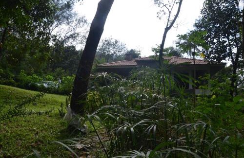 Elappara Cabin | Colonel's Retreat, Mavady, Vagamon