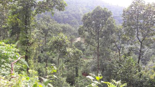 Elappara Cabin | Colonel's Retreat, Mavady, Vagamon