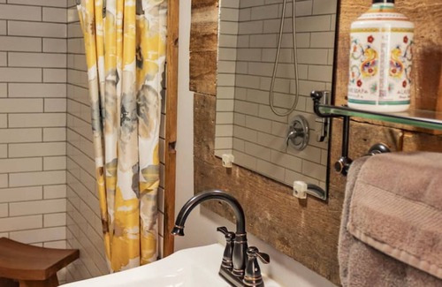 Silverton Apartment | Columbine Lodge-4br Mountain Retreat Near Durango