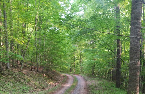 Millpoint Cabin | Come check out the yeti triangle it's off grid camping at its best pet friendly