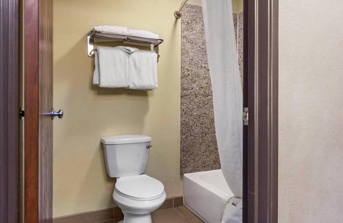 Albuquerque Hotel | Comfort Inn Albuquerque Airport
