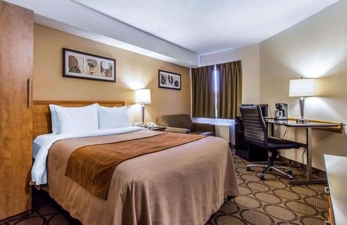 Sudbury Hotel | Comfort Inn East