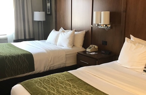 Ellsworth Hotel | Comfort Inn Ellsworth - Bar Harbor
