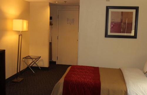 Trevose Hotel | Comfort Inn Feasterville - Trevose