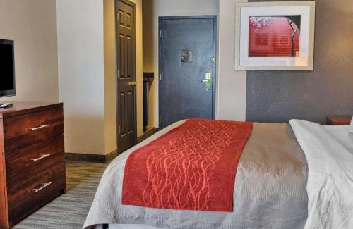Ruther Glen Hotel | Comfort Inn Ruther Glen near Kings Dominion