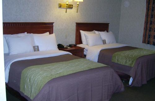 Barrie Hotel | Comfort Inn & Suites