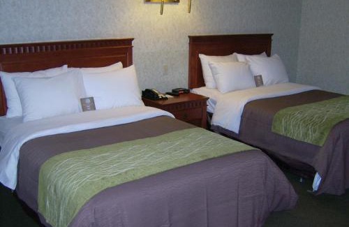 Barrie Hotel | Comfort Inn & Suites